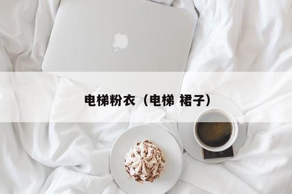 电梯粉衣（电梯 裙子）