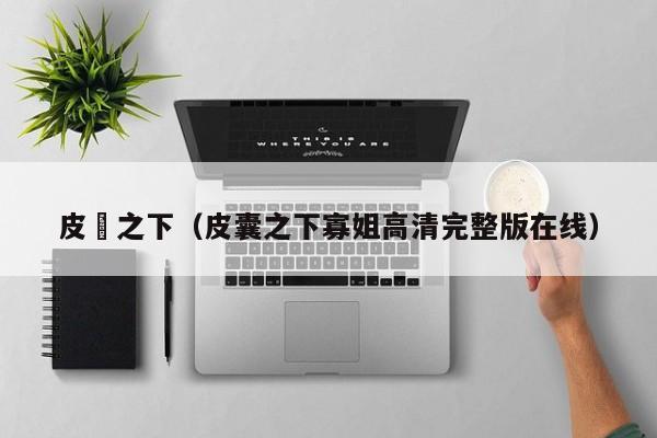 皮蘘之下（皮囊之下寡姐高清完整版在线）