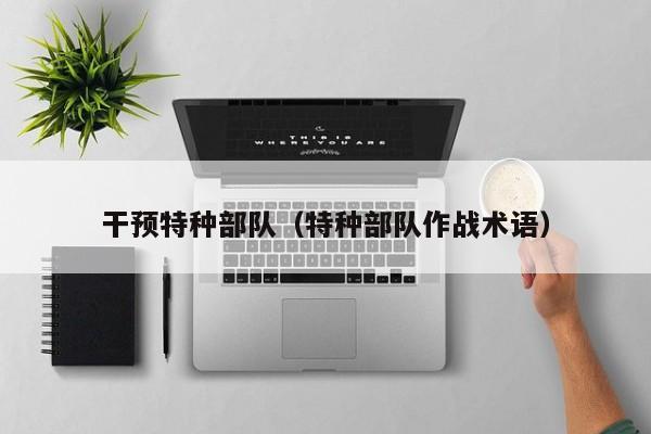 干预特种部队（特种部队作战术语）